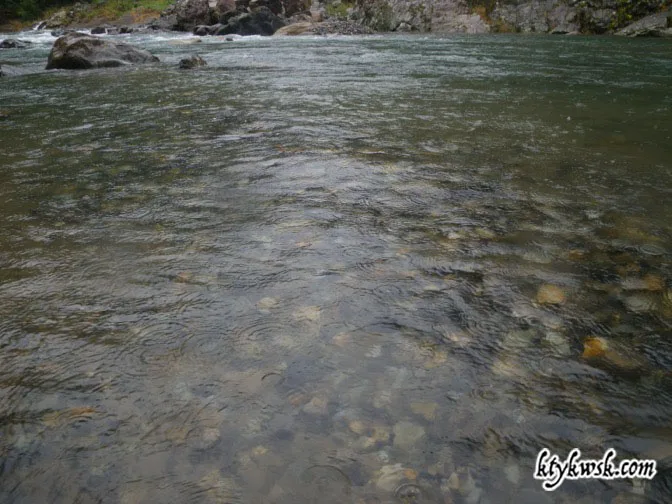 2012/09/29の渓流。水量が増え、笹濁り。